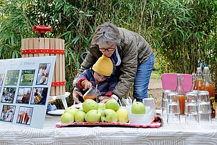 Eine Person hilft einem Kind beim Eingießen von Saft. Auf dem Tisch befinden sich Äpfel, Gläser, Flaschen mit Saft und ein Plakat 